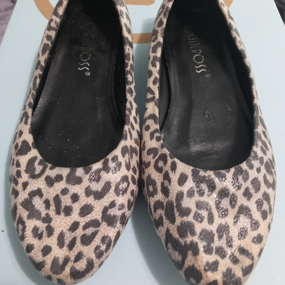 Cheetah Flats - Picture 5 of 5